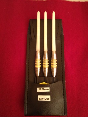 new darts pics 2012 024